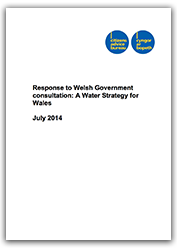 waterstrategycover